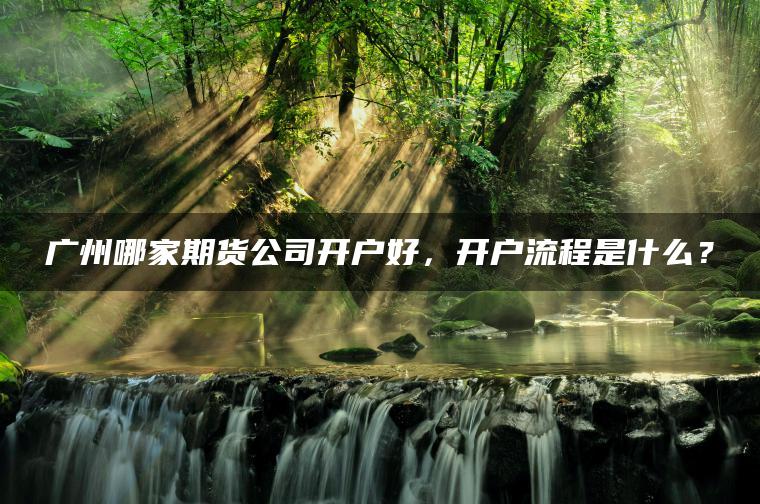 广州哪家期货公司开户好,开户流程是什么? 广州哪家期货公司开户好,开户流程是什么?