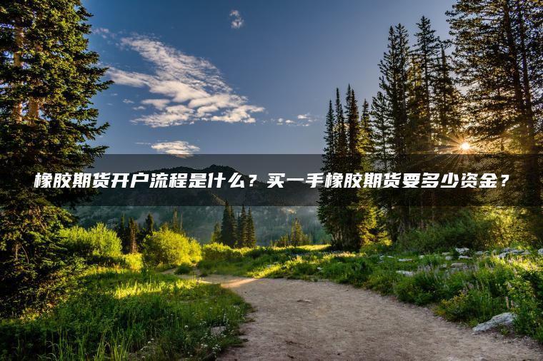 橡胶期货开户流程是什么？买一手橡胶期货要多少资金？