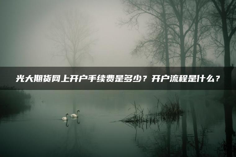 光大期货网上开户手续费是多少？开户流程是什么？