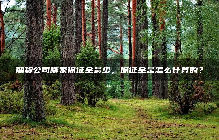 期货公司哪家保证金最少，保证金是怎么计算的？