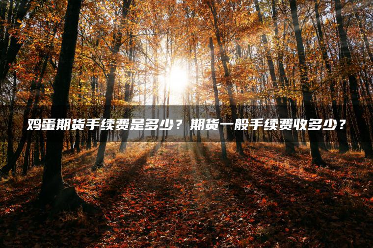 鸡蛋期货手续费是多少？期货一般手续费收多少？