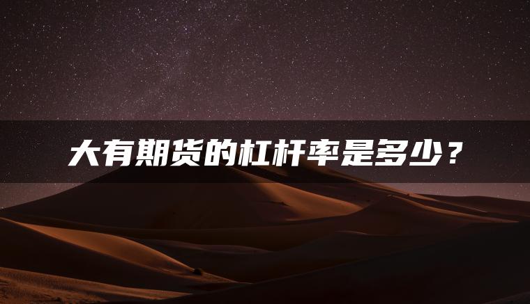 大有期货的杠杆率是多少？
