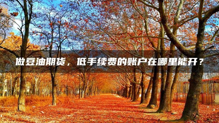 做豆油期货，低手续费的账户在哪里能开？