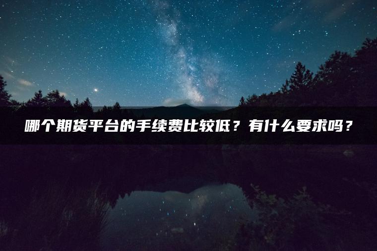 哪个期货平台的手续费比较低?有什么要求吗? 哪个期货平台的手续费比较低?有什么要求吗?