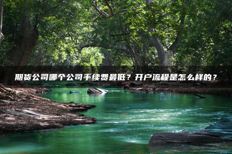 期货公司哪个公司手续费最低?开户流程是怎么样的? 期货公司哪个公司手续费最低?开户流程是怎么样的?