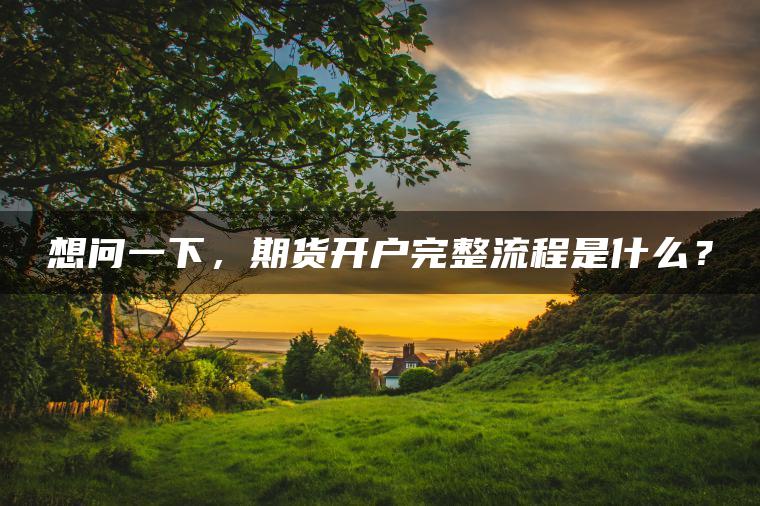 想问一下，期货开户完整流程是什么？