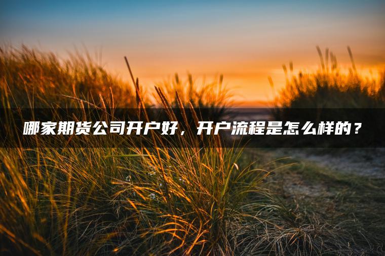 哪家期货公司开户好，开户流程是怎么样的？