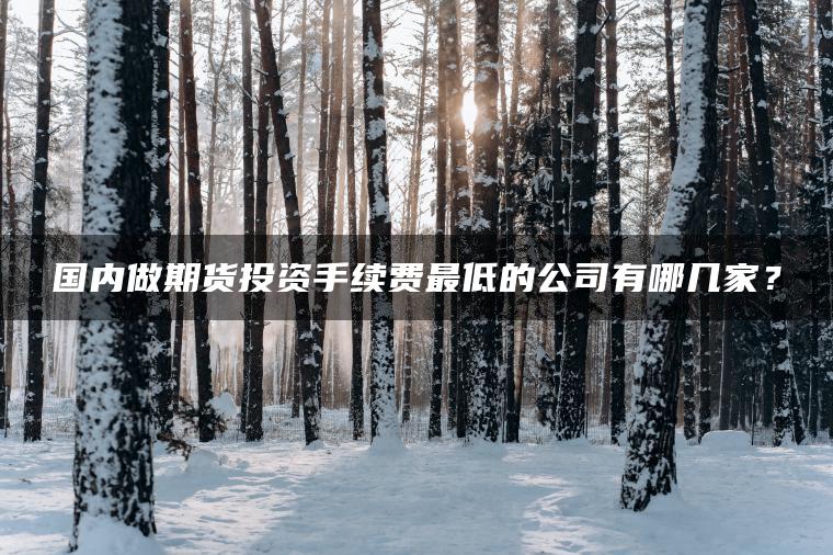 国内做期货投资手续费最低的公司有哪几家？