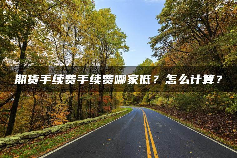 期货手续费手续费哪家低？怎么计算？