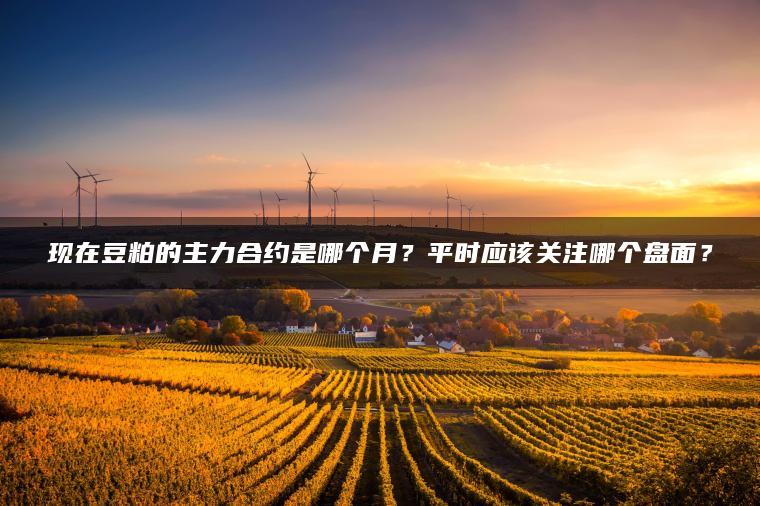 现在豆粕的主力合约是哪个月？平时应该关注哪个盘面？