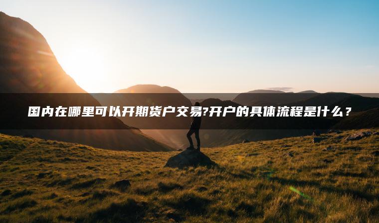 国内在哪里可以开期货户交易?开户的具体流程是什么？