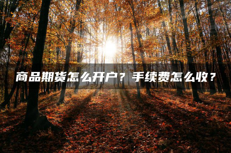 商品期货怎么开户？手续费怎么收？
