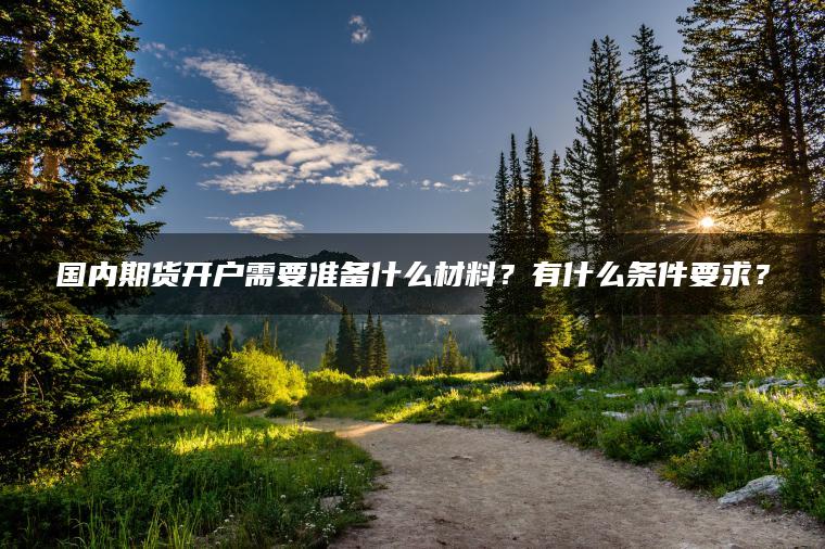 国内期货开户需要准备什么材料？有什么条件要求？