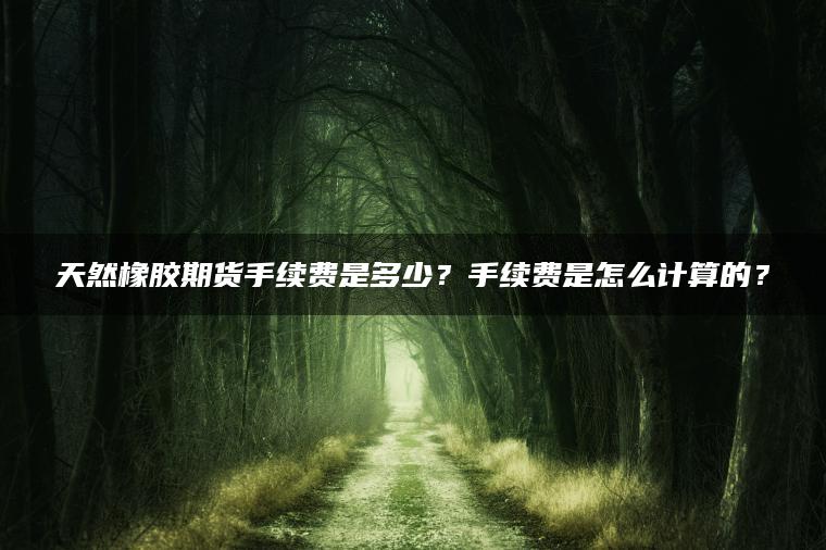 天然橡胶期货手续费是多少？手续费是怎么计算的？