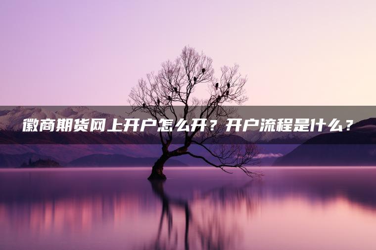 徽商期货网上开户怎么开?开户流程是什么? 徽商期货网上开户怎么开?开户流程是什么?