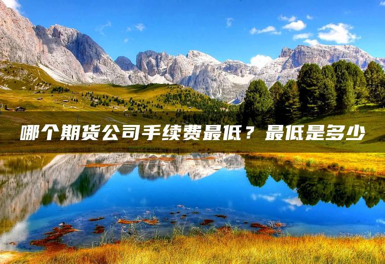 哪个期货公司手续费最低?最低是多少 哪个期货公司手续费最低?最低是多少
