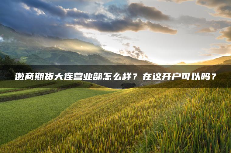 徽商期货大连营业部怎么样？在这开户可以吗？
