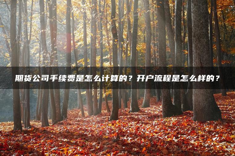 期货公司手续费是怎么计算的?开户流程是怎么样的? 期货公司手续费是怎么计算的?开户流程是怎么样的?