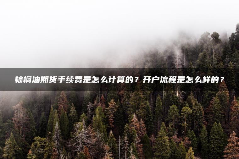 棕榈油期货手续费是怎么计算的？开户流程是怎么样的？