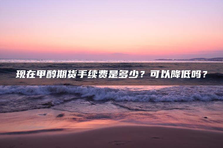 现在甲醇期货手续费是多少？可以降低吗？