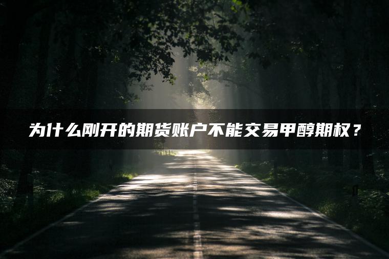 为什么刚开的期货账户不能交易甲醇期权？