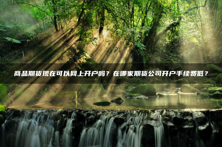 商品期货现在可以网上开户吗?在哪家期货公司开户手续费低? 商品期货现在可以网上开户吗?在哪家期货公司开户手续费低?