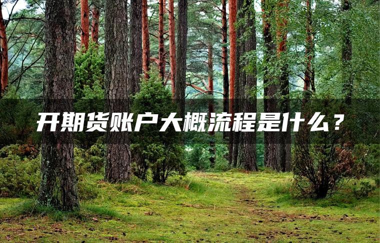 开期货账户大概流程是什么？