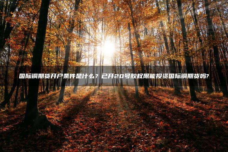 国际铜期货开户条件是什么？已开20号胶权限能投资国际铜期货吗?