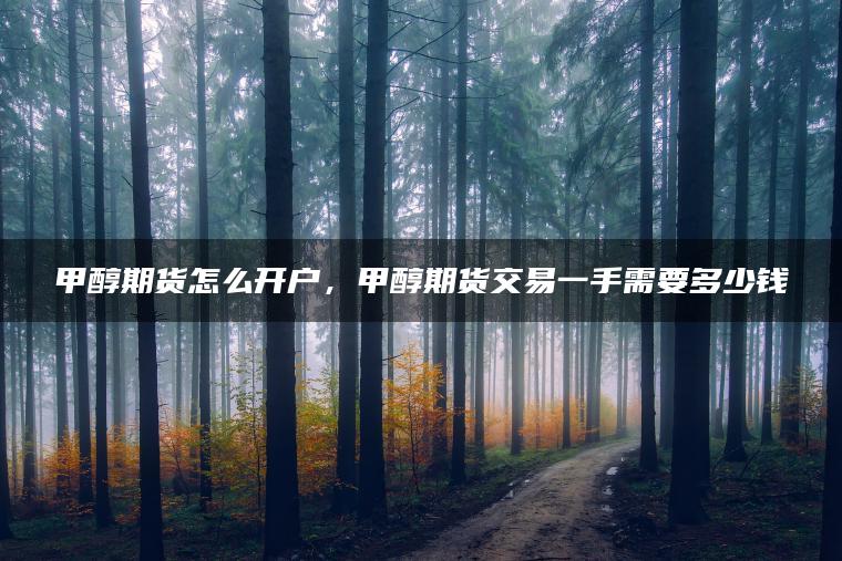 甲醇期货怎么开户，甲醇期货交易一手需要多少钱