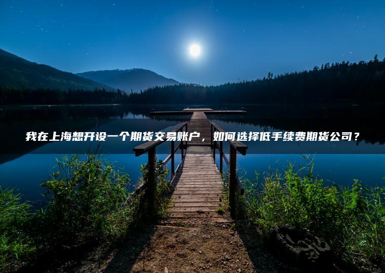 我在上海想开设一个期货交易账户，如何选择低手续费期货公司？