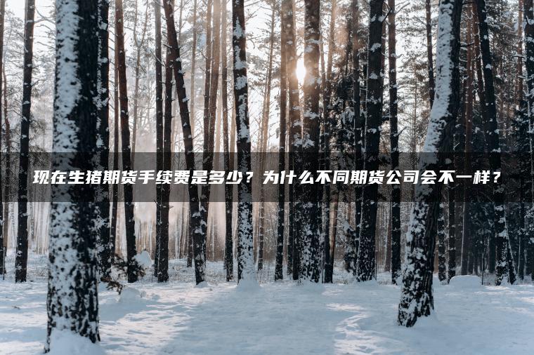 现在生猪期货手续费是多少？为什么不同期货公司会不一样？