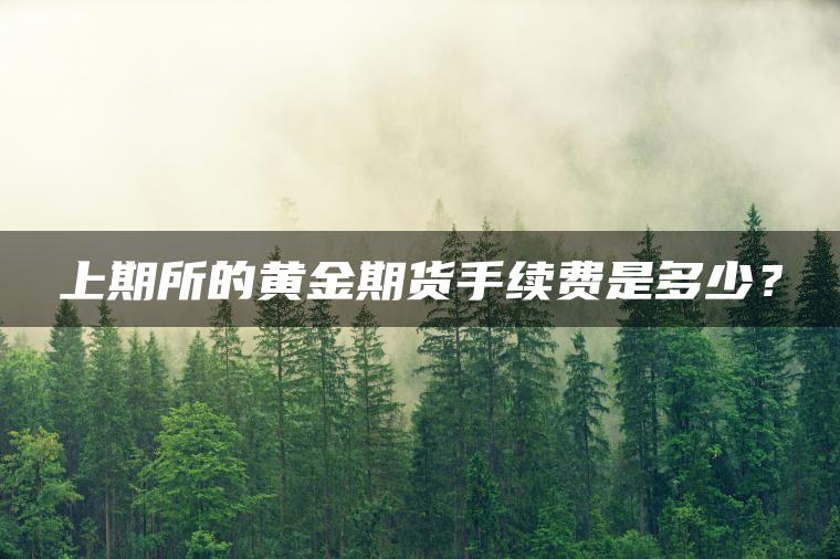 上期所的黄金期货手续费是多少？