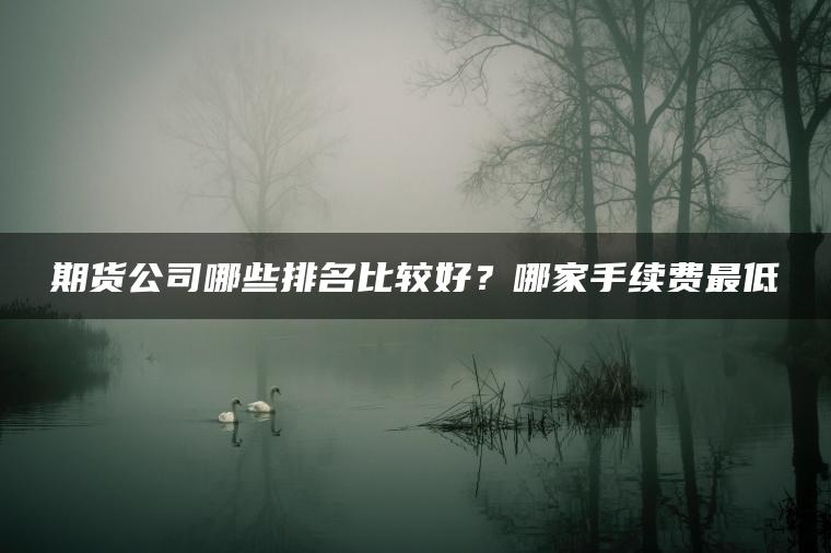期货公司哪些排名比较好?哪家手续费最低 期货公司哪些排名比较好?哪家手续费最低