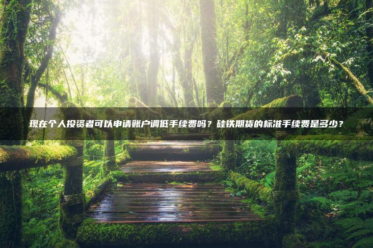 现在个人投资者可以申请账户调低手续费吗？硅铁期货的标准手续费是多少？