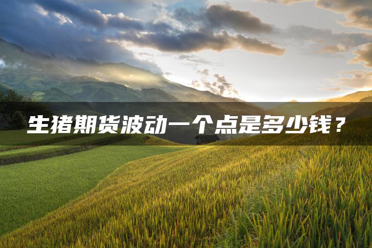 生猪期货波动一个点是多少钱？