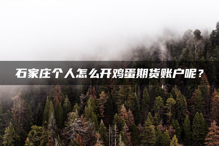 石家庄个人怎么开鸡蛋期货账户呢？
