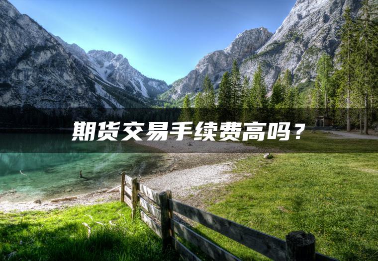 期货交易手续费高吗？
