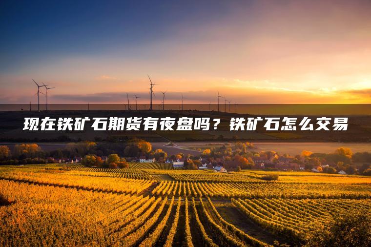 现在铁矿石期货有夜盘吗？铁矿石怎么交易