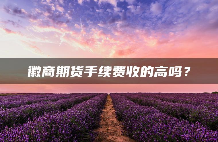 徽商期货手续费收的高吗? 徽商期货手续费收的高吗?