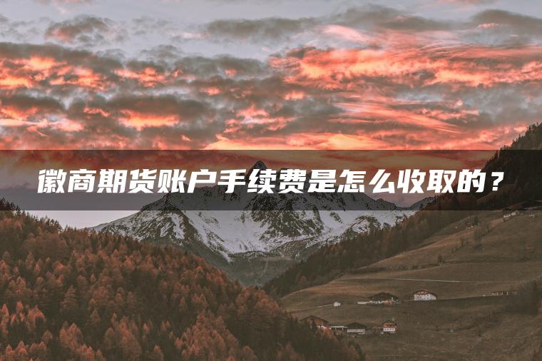 徽商期货账户手续费是怎么收取的? 徽商期货账户手续费是怎么收取的?