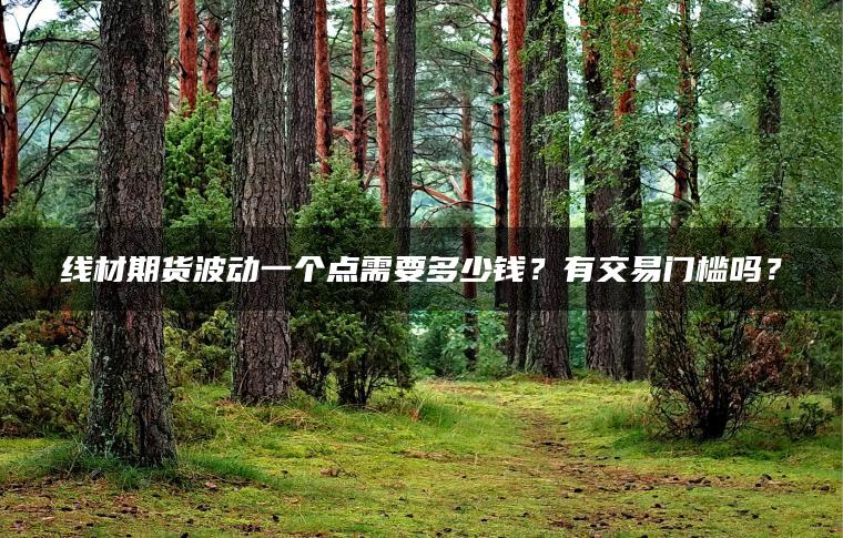 线材期货波动一个点需要多少钱？有交易门槛吗？