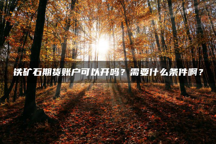 铁矿石期货账户可以开吗?需要什么条件啊? 铁矿石期货账户可以开吗?需要什么条件啊?