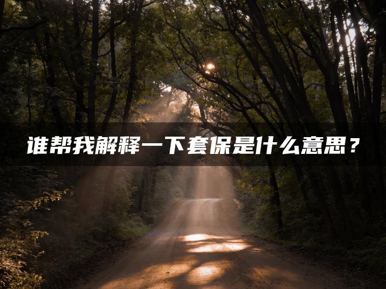 谁帮我解释一下套保是什么意思？