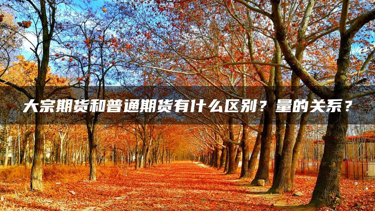 大宗期货和普通期货有什么区别？量的关系？