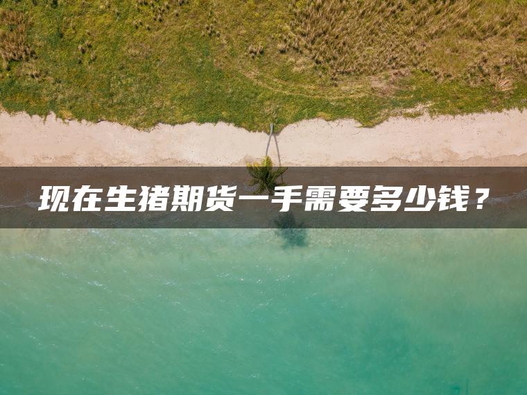 现在生猪期货一手需要多少钱？