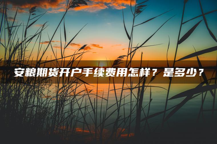 安粮期货开户手续费用怎样？是多少？