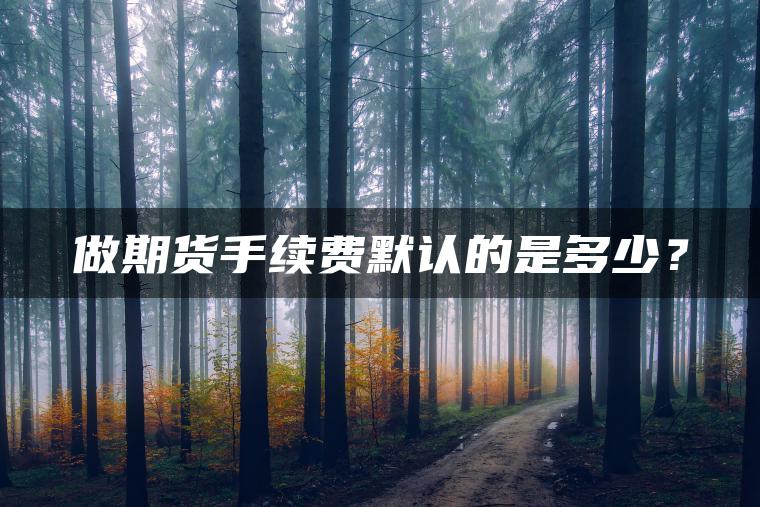 做期货手续费默认的是多少？