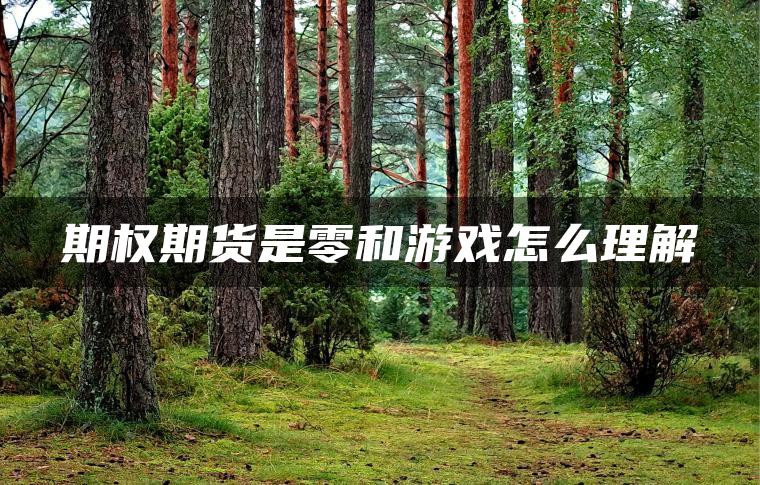 期权期货是零和游戏怎么理解