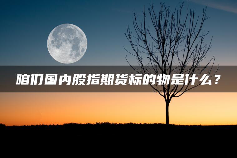 咱们国内股指期货标的物是什么？