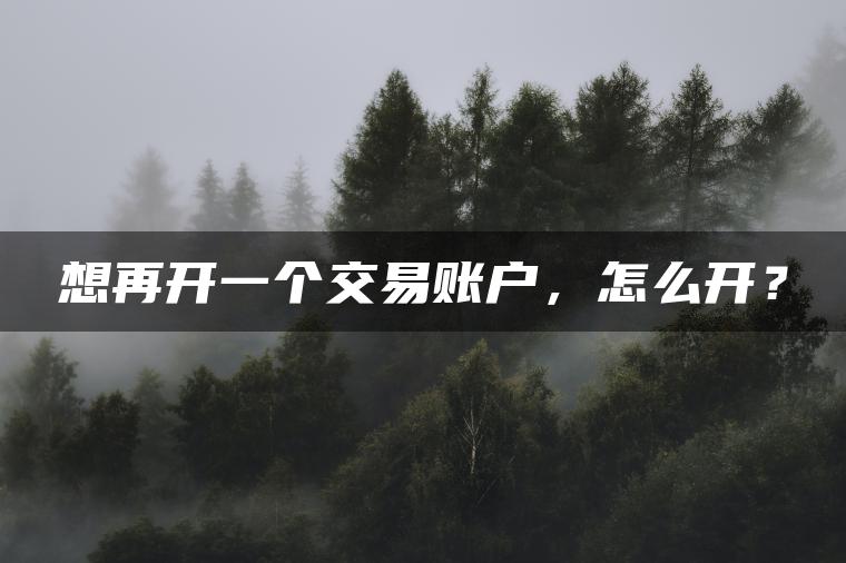 想再开一个交易账户，怎么开？